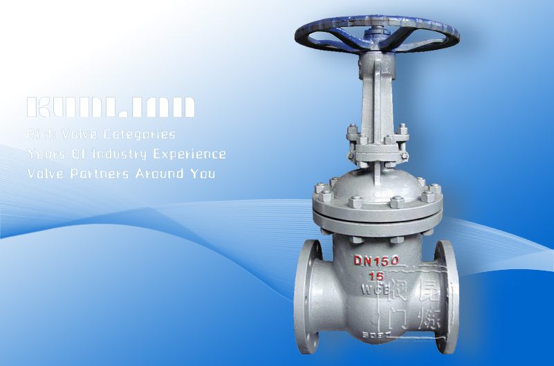 Z41H-16CZ41W-16CT䓷mly