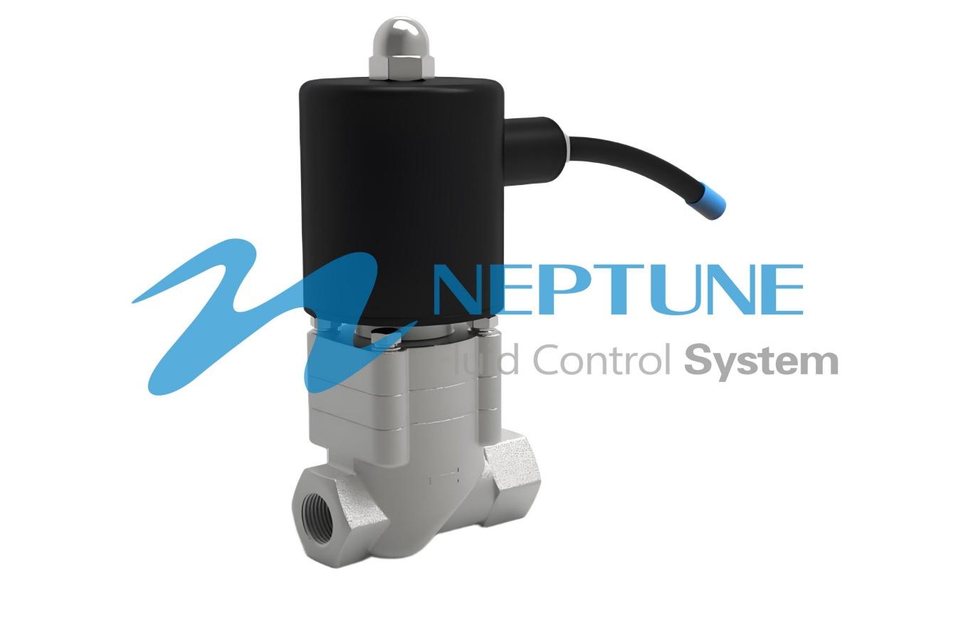 SOL-V-FPCINNPGCRAIGP䓽z۷늴y