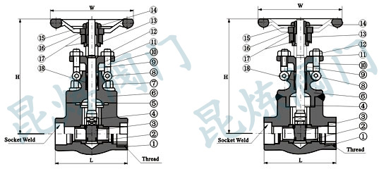 Z11HZ61HlyY(ji)(gu)D- ϺyT޹˾